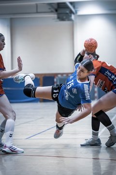 Bild 90 - wBJ TSV Ellerau - HSG Schue/We/Re : Ergebnis: 23:15